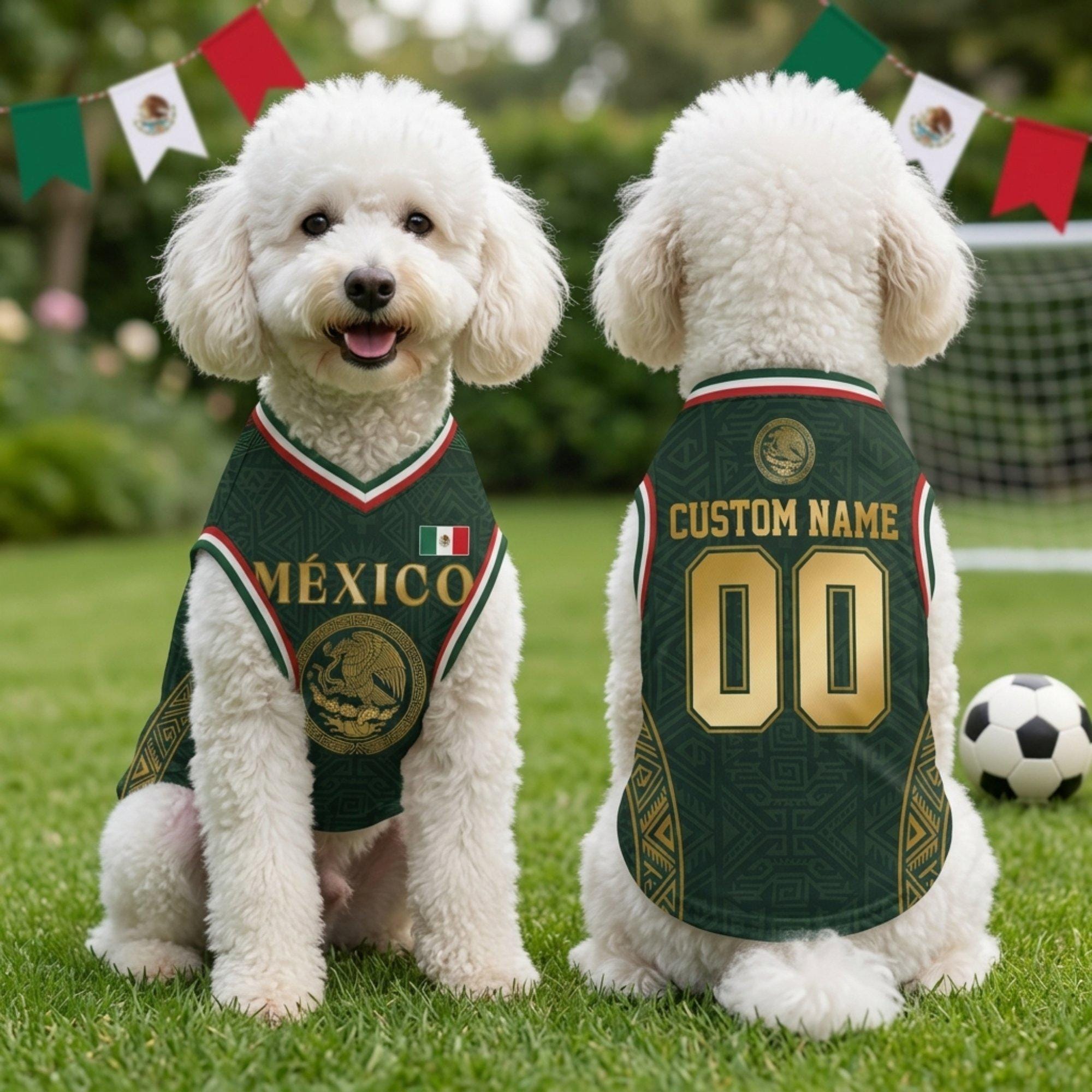 Personalized Mexico Dog Jersey, Custom Cat Football Shirt Name Number, Aztec Pet Soccer Mesh Jersey,