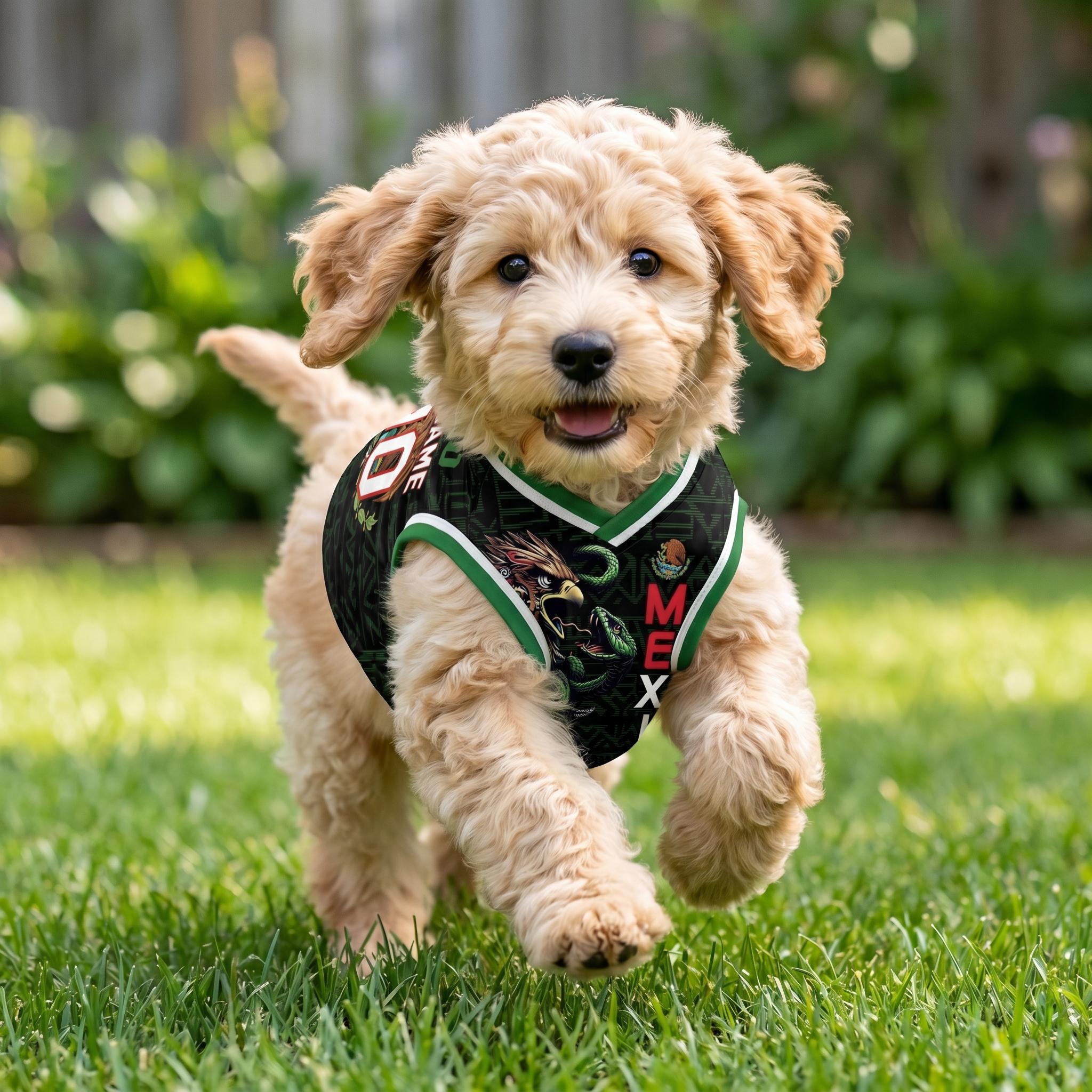 Personalized Mexico Pet Jersey, Custom Dog Cat Soccer Shirt, Name Number Football Jersey