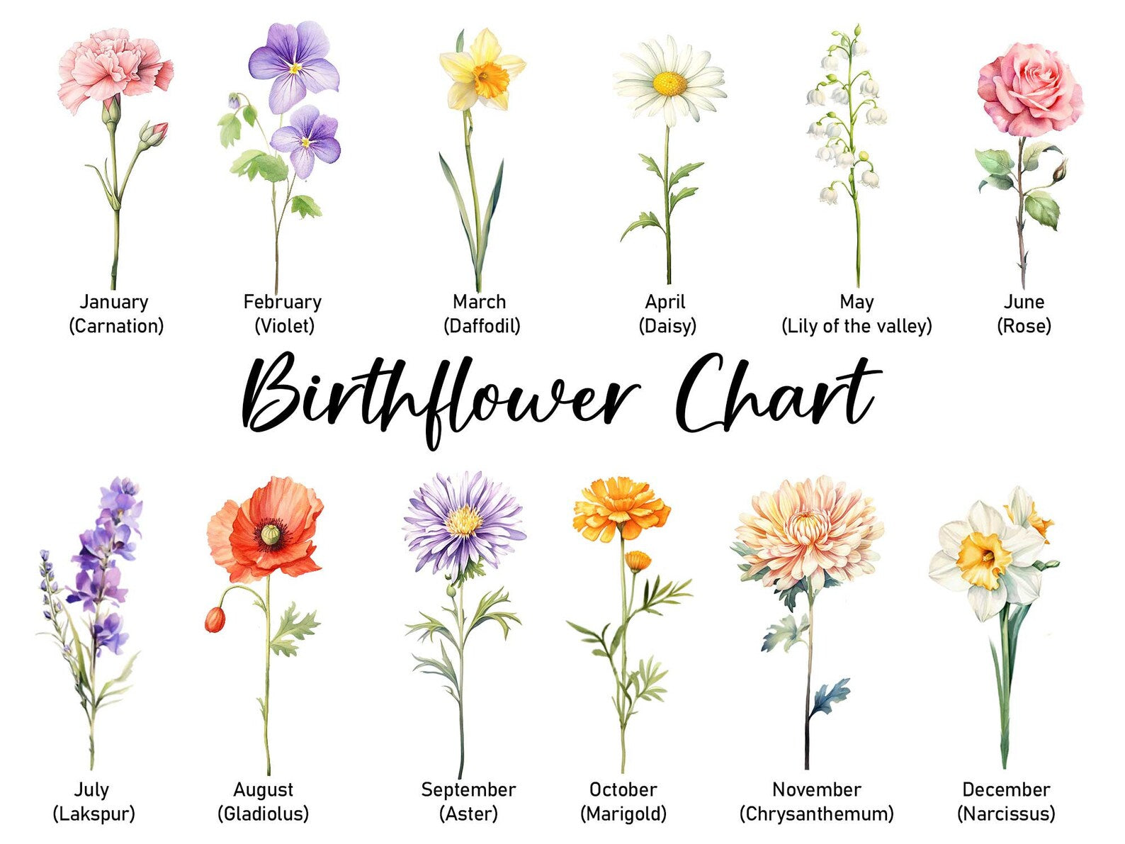 Custom Birth Month Flower Name Vase, 70th Birthday Gifts, Seventy Birthday Flower Vase