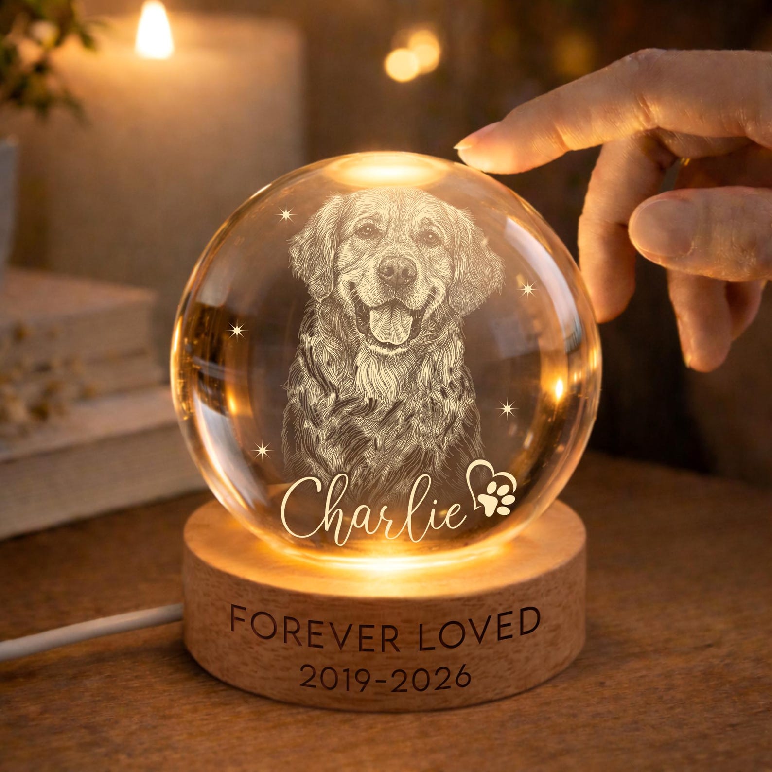 Personalized Pet Memorial Night Light, Pet Portrait Crystal Ball Night Light