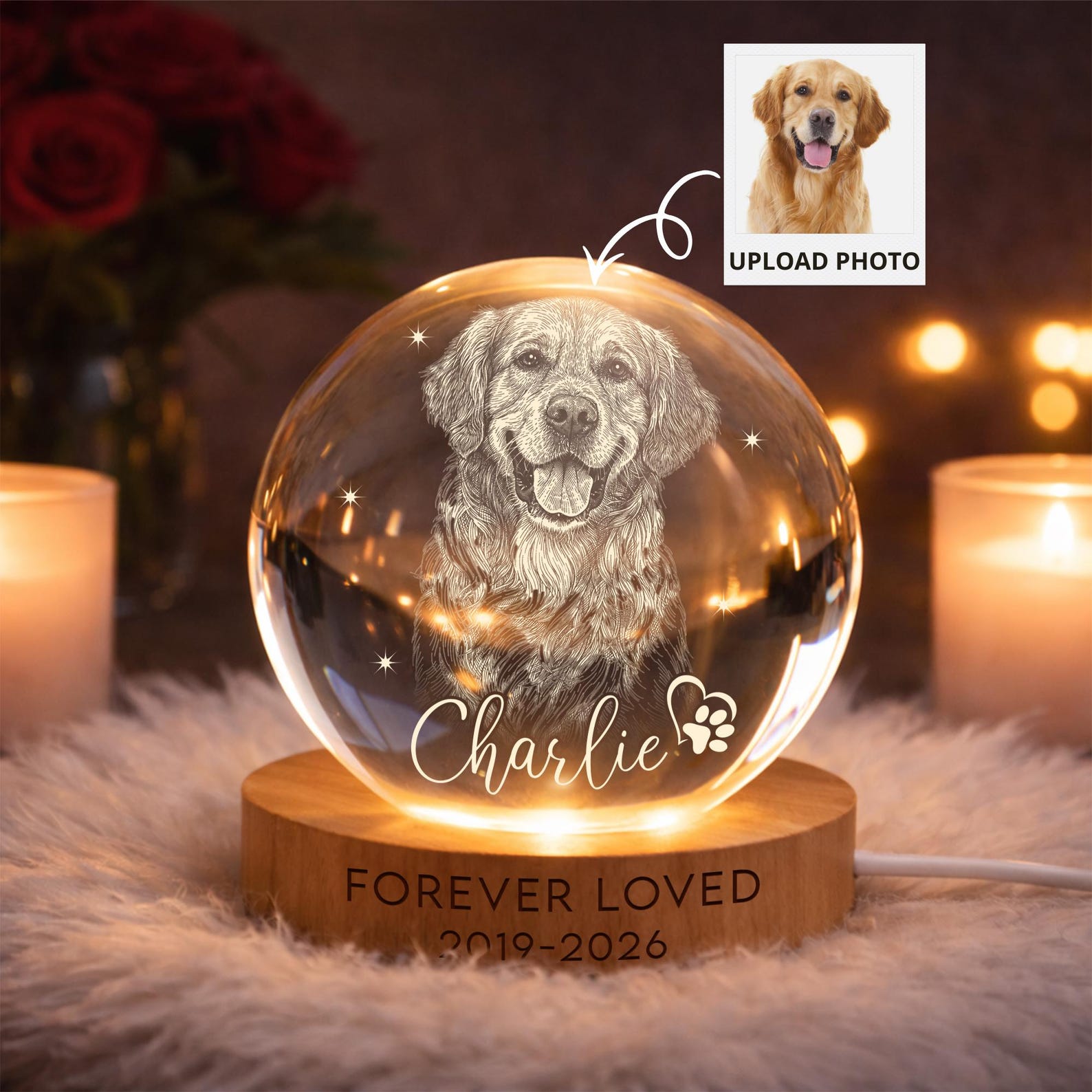 Personalized Pet Memorial Night Light, Pet Portrait Crystal Ball Night Light