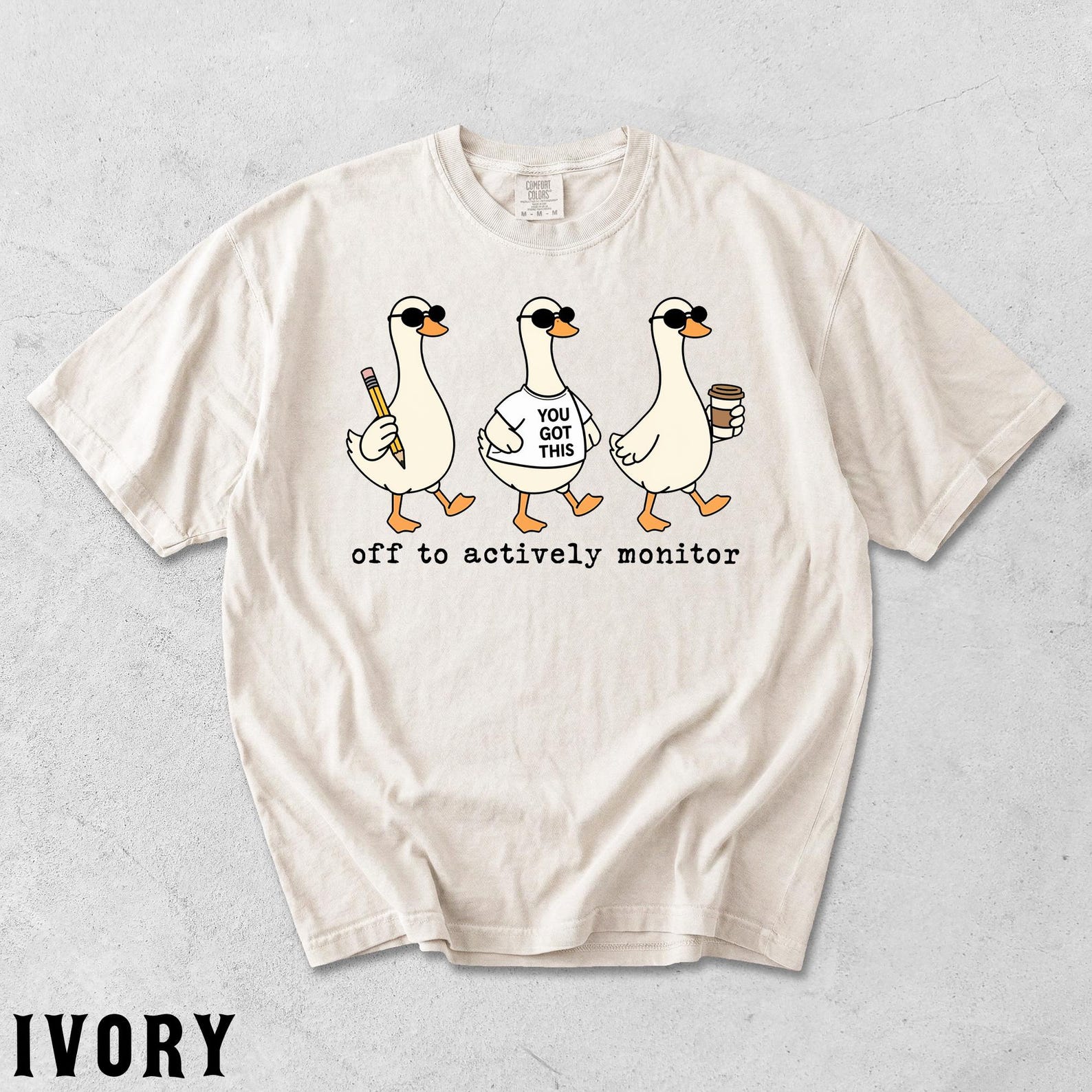 Test Day Goose Shirt, You Got This Teacher Tee, Off To Actively Monitor, School Testing Humor Shirt