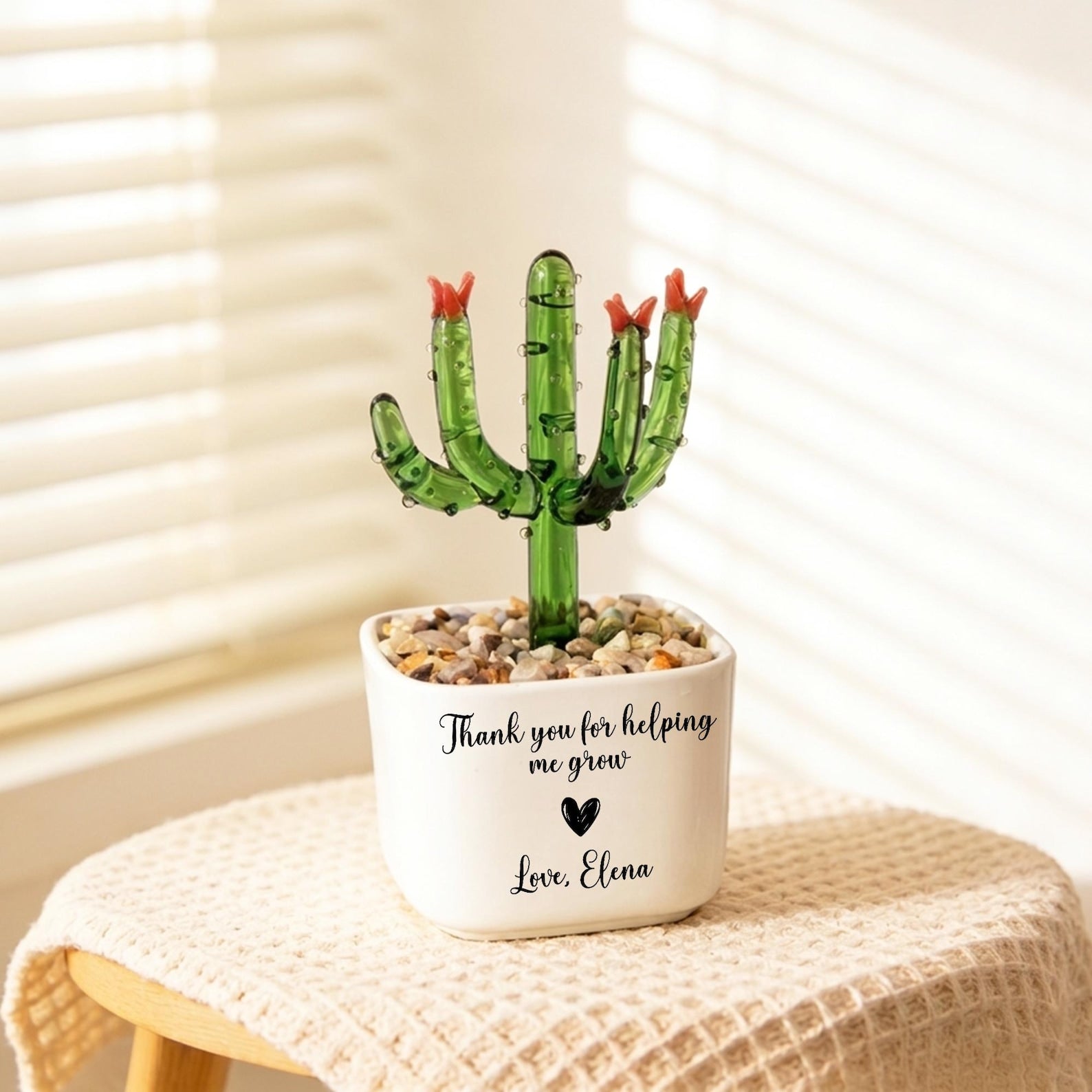 Glass Everlasting Plant Pot, Custom Mom Potted Plant, Hand Blown Glass Potted