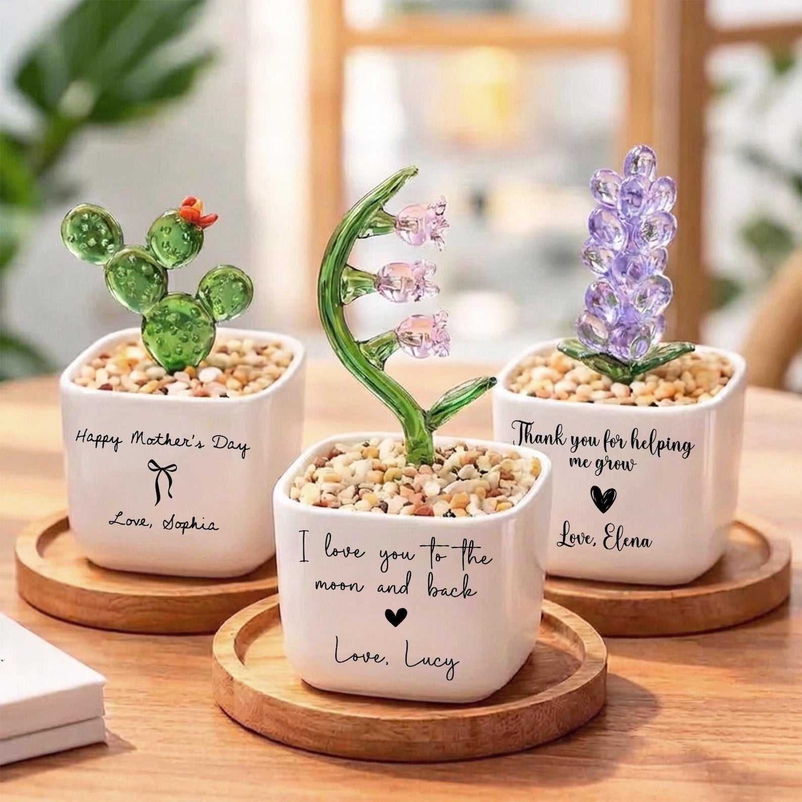 Glass Everlasting Plant Pot, Custom Mom Potted Plant, Hand Blown Glass Potted