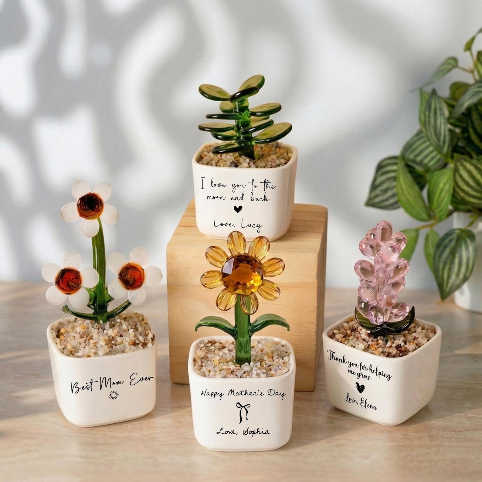 Glass Everlasting Plant Pot, Custom Mom Potted Plant, Hand Blown Glass Potted