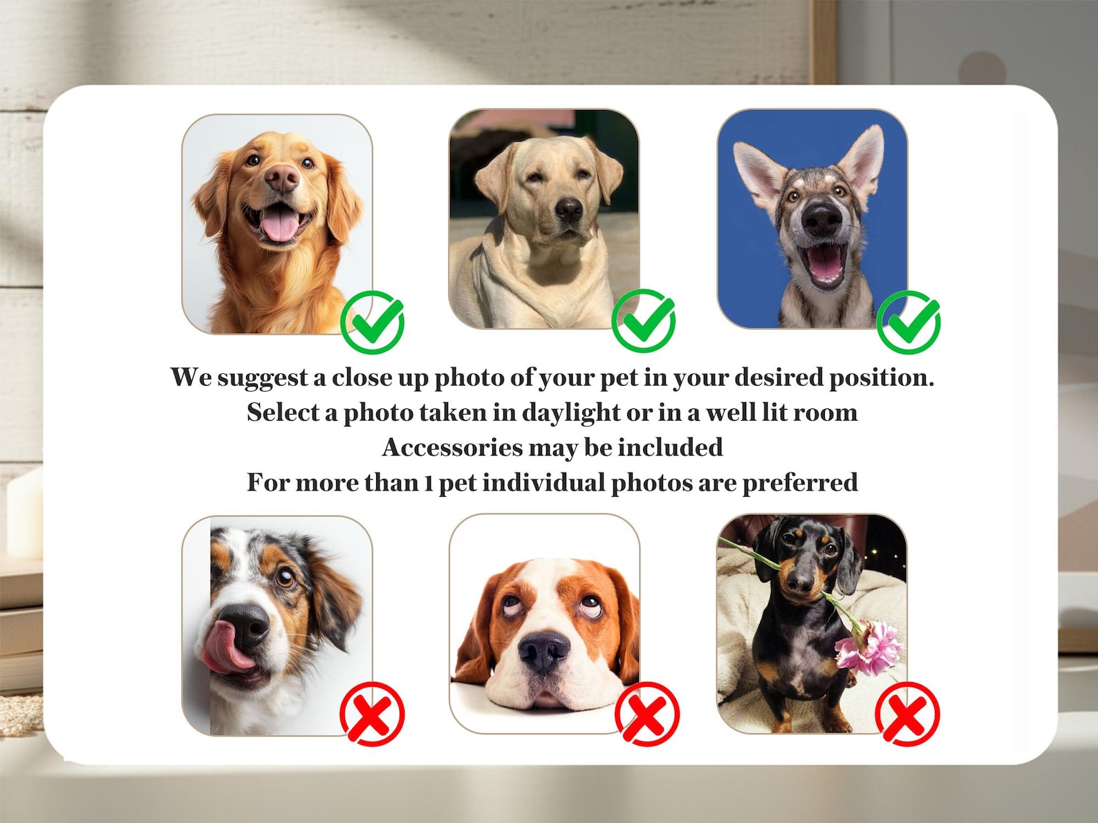 Custom Pet Portrait Plant Pot Ceramic Planter Wildflower Dog Cat Succulent Pot