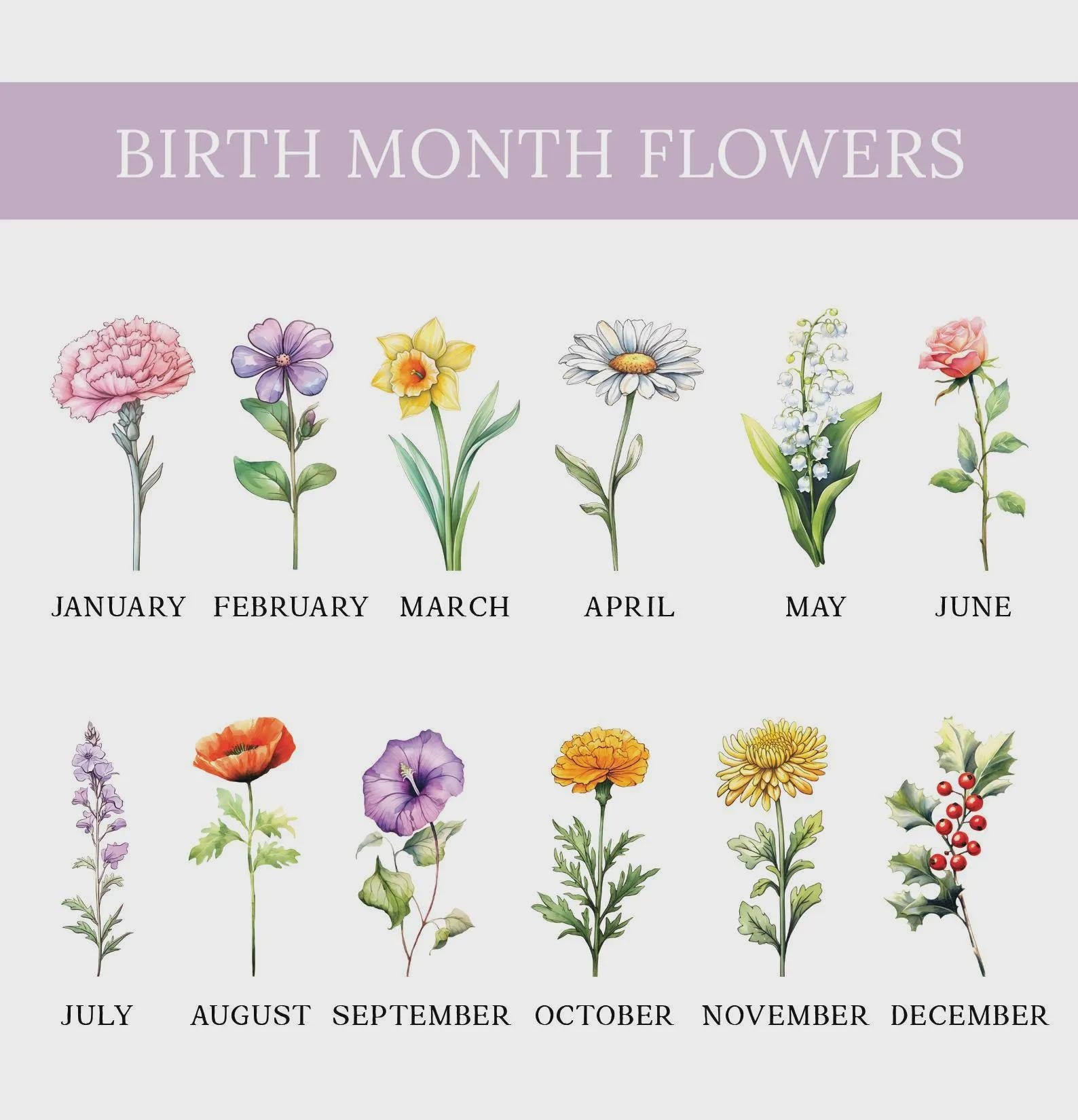 80th Birthday Gifts, Personalized 80th Birthday Flower Pot Gift
