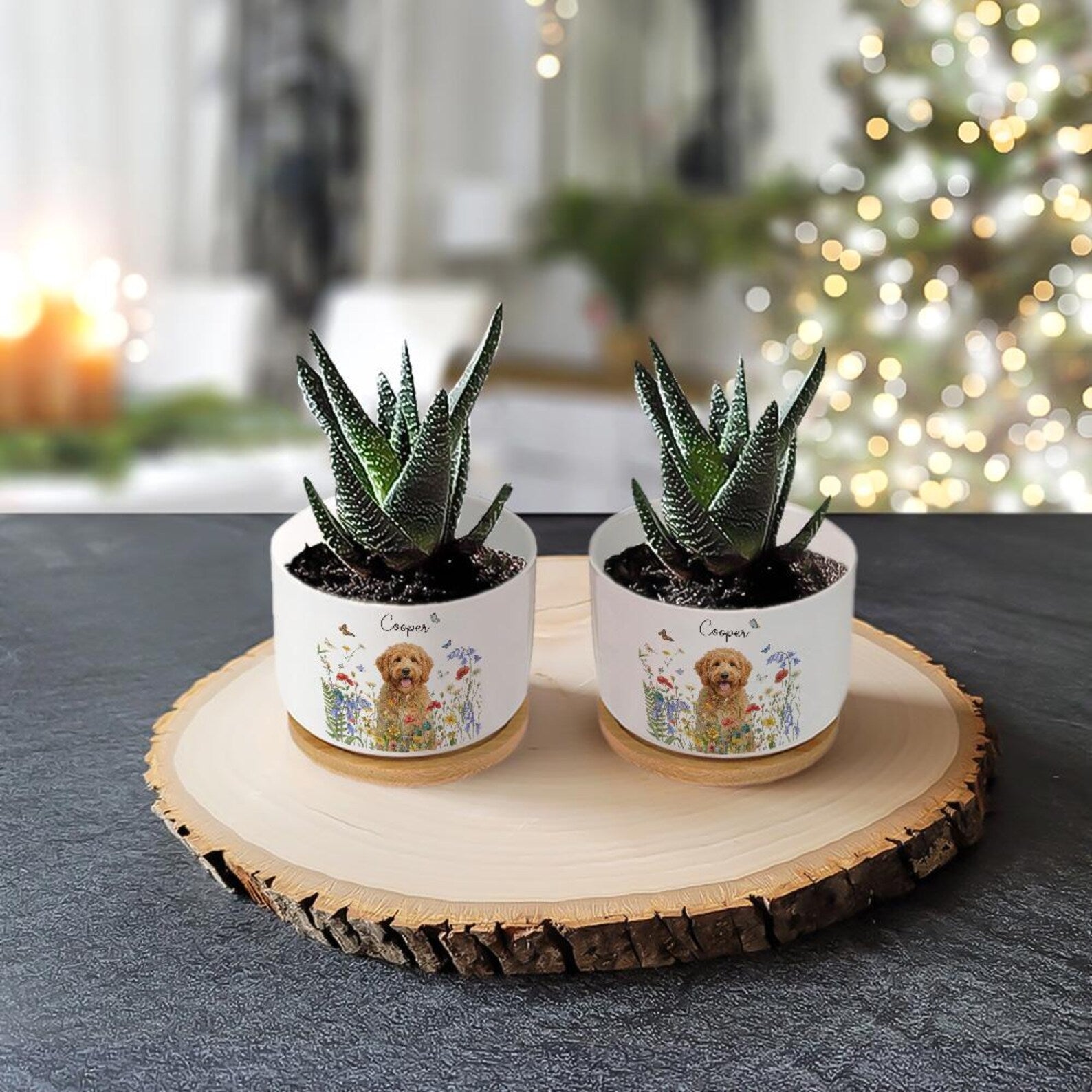 Custom Pet Portrait Plant Pot Ceramic Planter Wildflower Dog Cat Succulent Pot