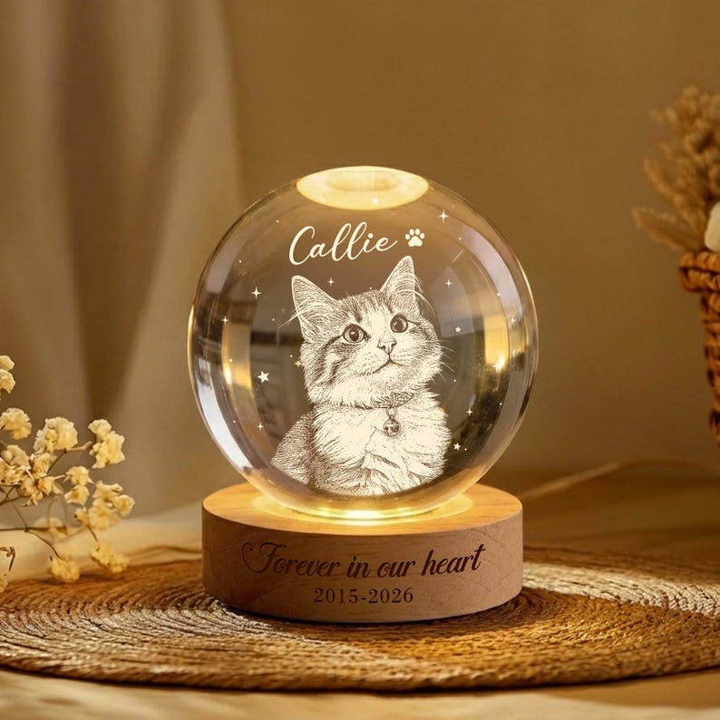 Personalized Pet Portrait Crystal Ball Night Light, Memorial Gift