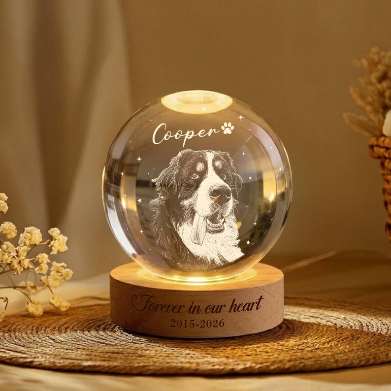 Personalized Pet Portrait Crystal Ball Night Light, Memorial Gift