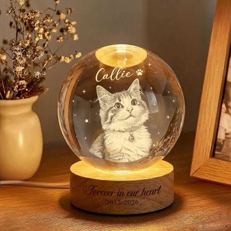 Personalized Pet Portrait Crystal Ball Night Light, Memorial Gift