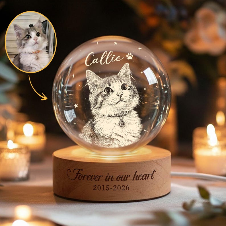 Personalized Pet Portrait Crystal Ball Night Light, Memorial Gift