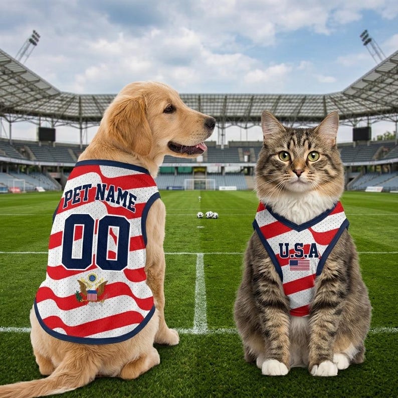 Custom USA Mesh Pet Jersey, Personalized Outfit for Dogs Cats