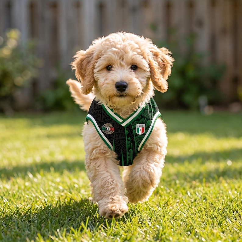 Personalized Mexico Pet Soccer Jersey,Custom Dog Cat Football Shirt