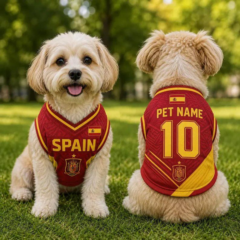 Personalized Spain Dog Jersey, Custom Pet Football Shirt with Name Number
