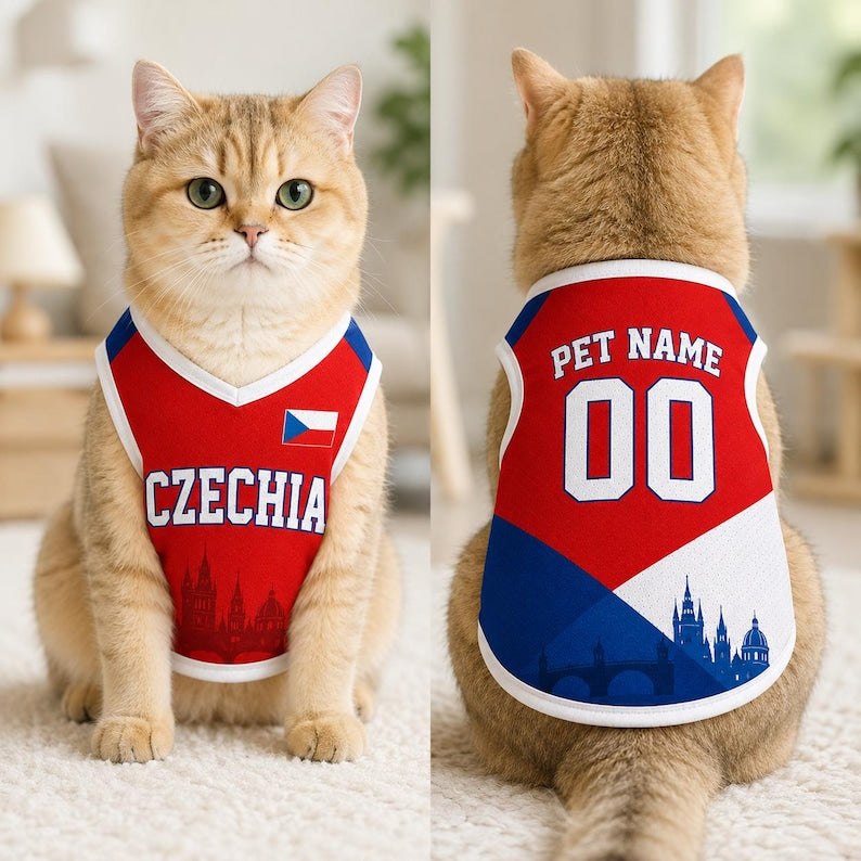 Personalized Czechia Mesh Pet Soccer Jersey, Custom Dog Cat Football Shirt