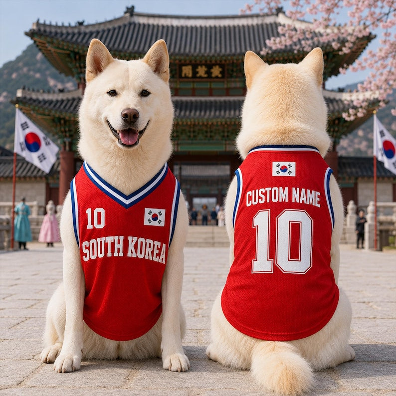 Custom SouthKorea Mesh Pet Jersey, Personalized Name & Number Soccer Shirt for Dogs Cats