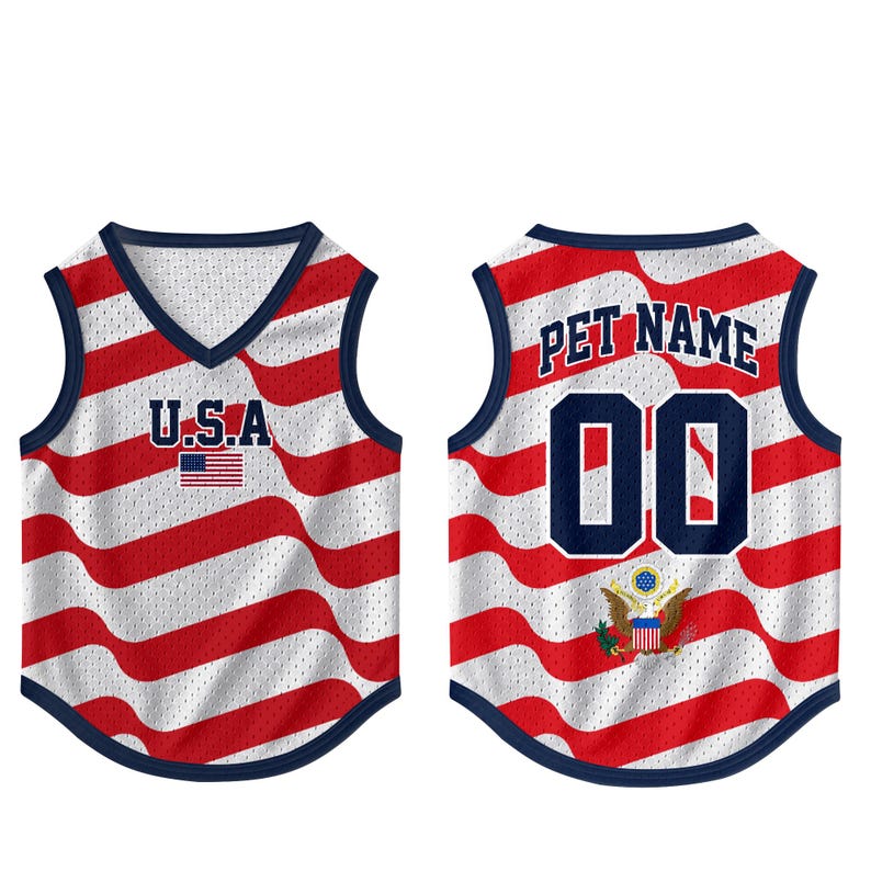 Custom USA Mesh Pet Jersey, Personalized Outfit for Dogs Cats