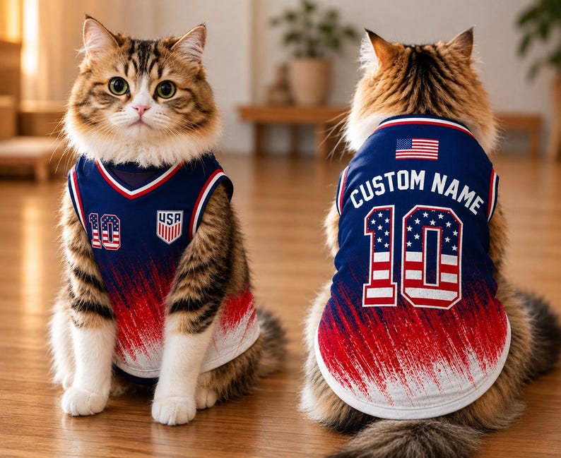 Personalized USA Mesh Pet Football Jersey, Custom Patriotic Pet Shirt