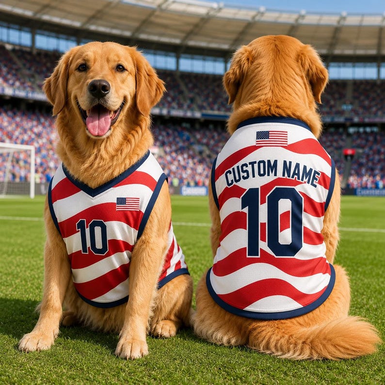 Custom Mesh Pet Soccer Jersey, Custom Name Dog Clothes