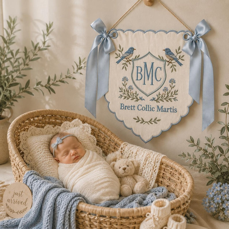 Embroidered Baby Boy Banner, Monogram Hospital Door Sign, Nursery Name Pennant, Newborn Photo Prop