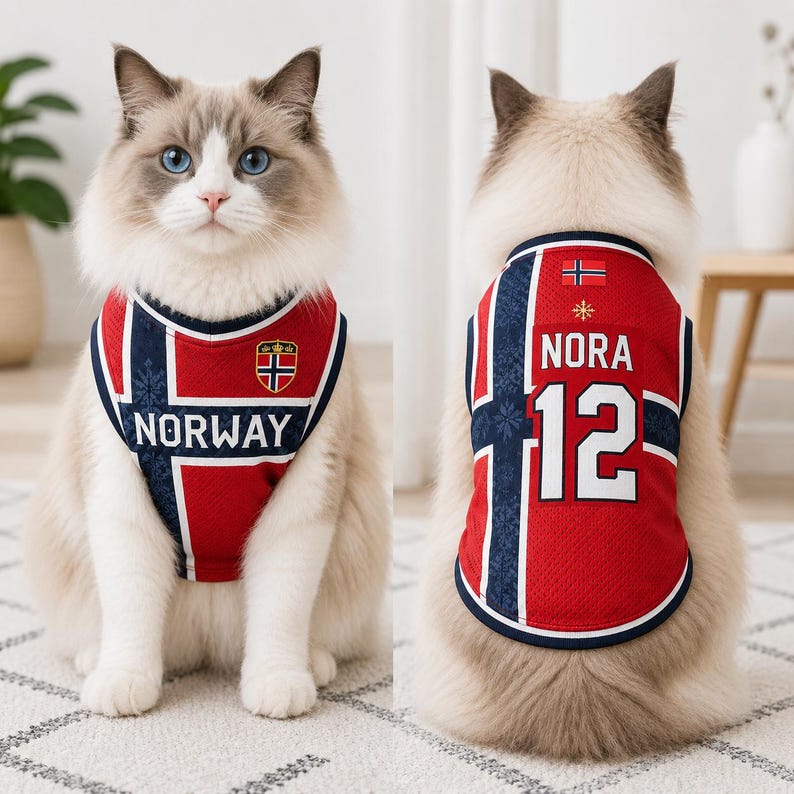 Personalized Norway Dog Soccer Jersey, Custom Pet Name Number Shirt, Norway Inspired Pet Jersey