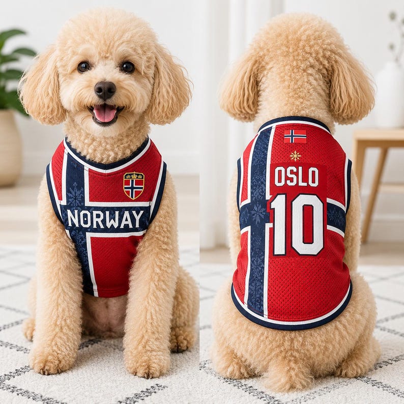 Personalized Norway Dog Soccer Jersey, Custom Pet Name Number Shirt, Norway Inspired Pet Jersey