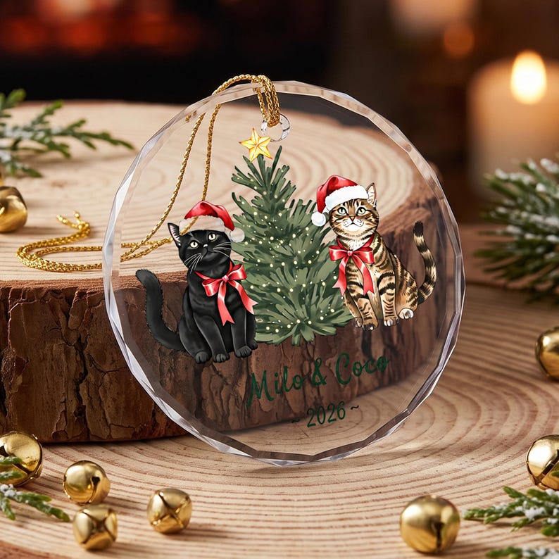Personalized Cat Christmas Ornament, Custom Cat Couple Glass Ornament with Names, Cat Lover Gift