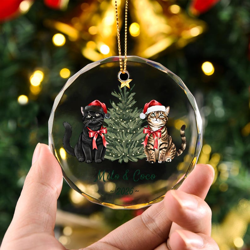 Personalized Cat Christmas Ornament, Custom Cat Couple Glass Ornament with Names, Cat Lover Gift
