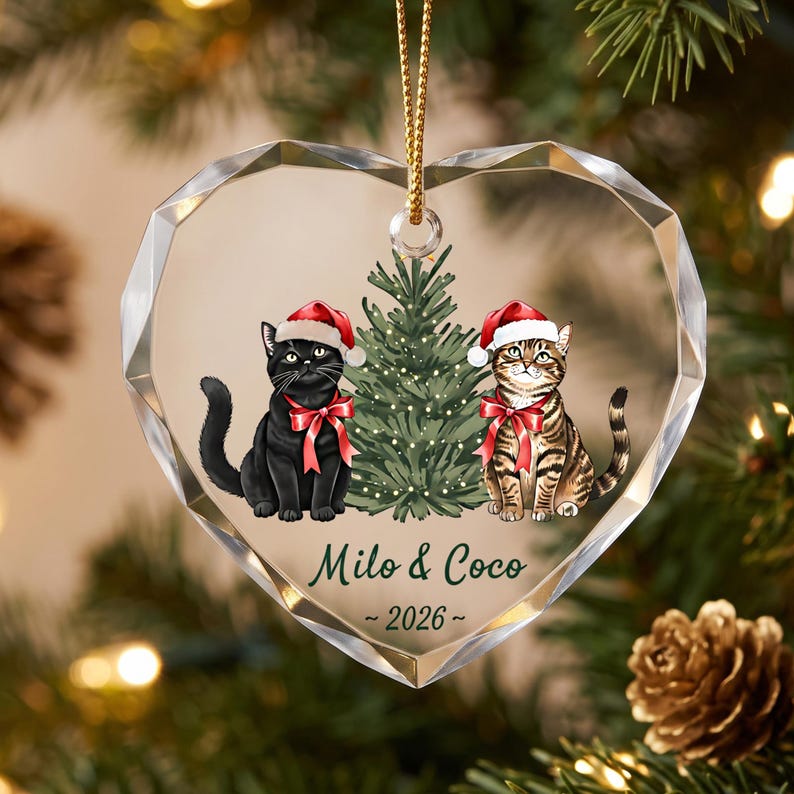 Personalized Cat Christmas Ornament, Custom Cat Couple Glass Ornament with Names, Cat Lover Gift