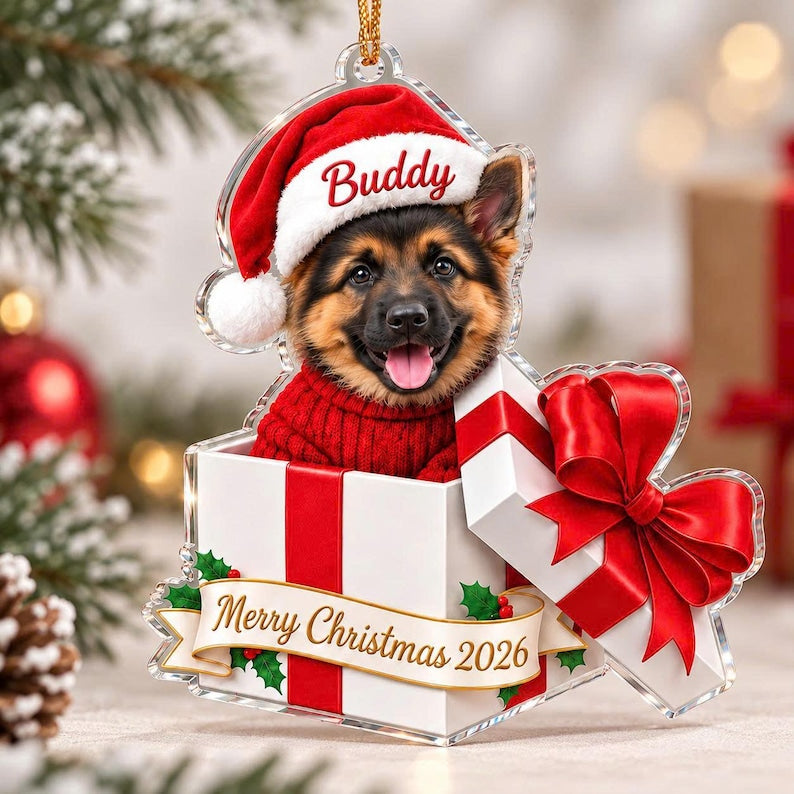 Personalized Pet Photo Christmas Ornament, Custom Dog Name Gift, First Christmas Puppy Pet Lover Keepsake